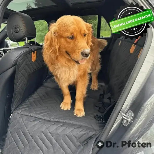 PROTECTOR DE CARRO PARA MASCOTAS PREMIUM°