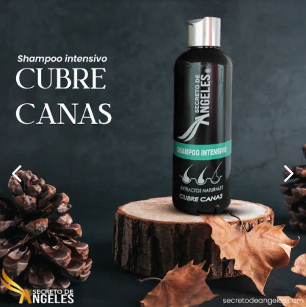 Champú Cubre Canas - Secreto de Angeles